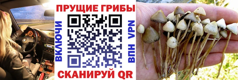 Галлюциногенные грибы Magic Shrooms  Губаха 